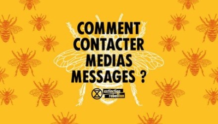 Prévisualiser l'image